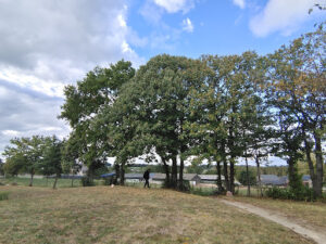 SAS Phenix à Moulins