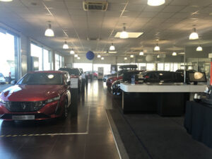 PEUGEOT STELLANTIS &YOU TOULOUSE MONTAUDRAN à Toulouse