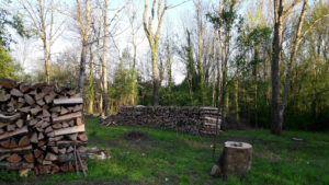 GP Sport à Sens-sur-Seille