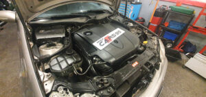 Wolf Cars 95 à Montmorency