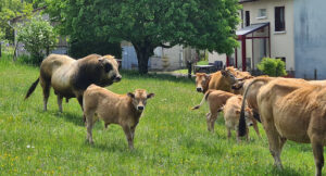 Allo Mecano 12 à Golinhac