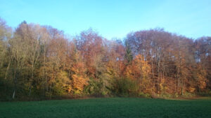 Speed P. à Valromey-sur-Séran