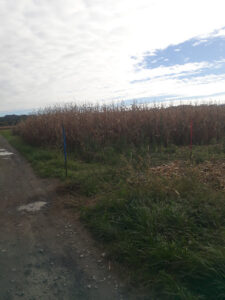 Garage 2 Souza à Bernac-Debat