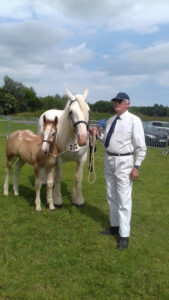 Etablissements BIDAL à Coulogne