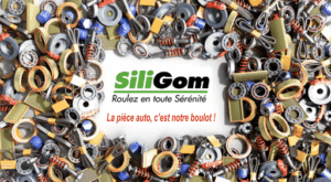 SILIGOM – CENTRAL PNEUS à Fains-Véel
