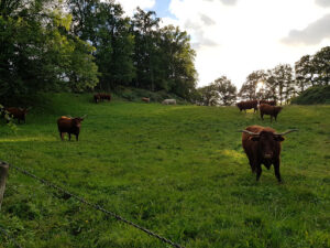 Garage Chautard Francois à Yolet