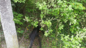 Ti Motors à Dammartin-sur-Tigeaux