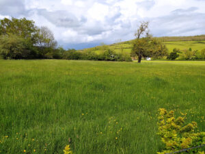Espace Automobile Pollien à Créancey