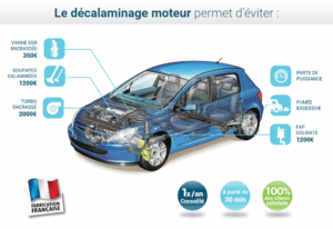 MS+ Services à Avignon