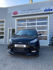 VOITURES SANS PERMIS LIGIER ET MICROCAR – CARS ALPESPROVENCE à La Tour-d'Aigues