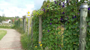 AD Carrosserie et Garage Expert DU GOUR DE L’ARCHE – SARL FRUGIER à Périgueux