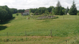 Garage Bounes Christian – Citroën à Castelnau-de-Montmiral
