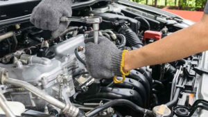 SARL AUTO SERVICE à Millas