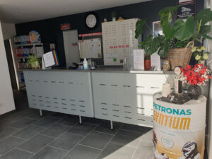 EURL GARAGE VIOLA à Mours-Saint-Eusèbe