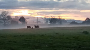 Garage Automeca à Mirepoix