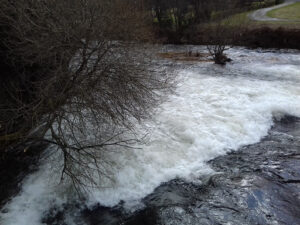 Garage Jaeggy, EUROREPAR CAR SERVICE à Moosch