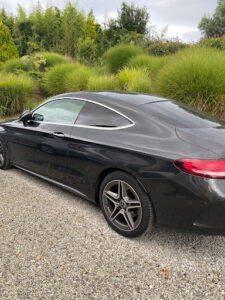 Martinelli Motors à Mougins