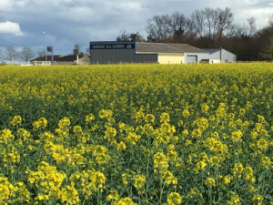 Garage Eric Guerin Agent FORD à Thouars