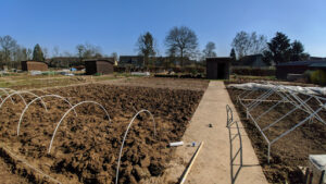 Lallemand Julien à Bihorel