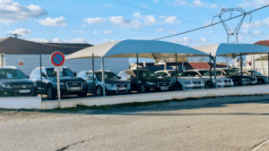 S&D AUTOMOBILES à Frans