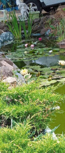 Le Thel Auto à Cours