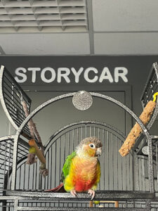 Storycar à Taverny