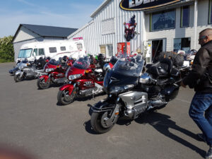 SAS Eden Gold – Motrio à Trélissac