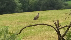 Moto Passion à Itxassou