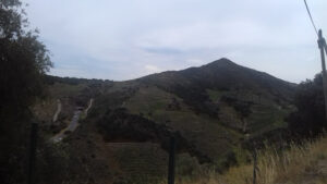 Central Garage collision à Collioure