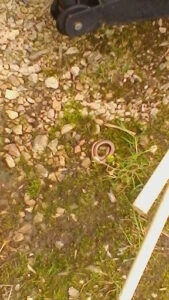 Bernhardt Cyrille à Romagny