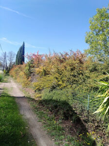 Gas Garage Auto Sauvebonne à Hyères