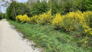 Euromaster Montmirail à Montmirail