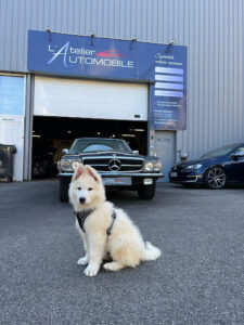 L’Atelier Automobile à Viroflay