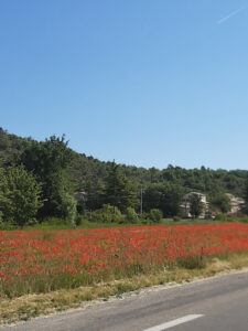 Garage Azur Autos à Mallemoisson