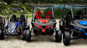 Monster Brothers à Saint-Romain-de-Jalionas