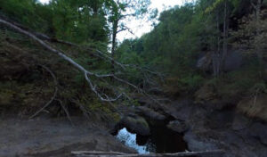 Delrieu Loïc à Saint-Cirgues-de-Jordanne