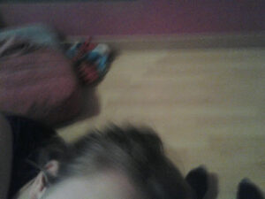 Garage Ness à Labergement-lès-Seurre