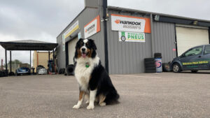 Rivesaltes Tyres and services à Rivesaltes