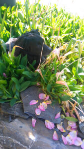 Jacomin Michel à Rotherens