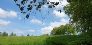 Am automobiles sarl tours à Tours