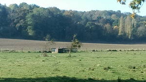 Phil Auto Prestige à Crécy-la-Chapelle