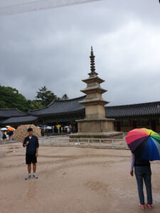 RDS Automobiles – Bosch Car Service à Saint-Martin-d'Hères