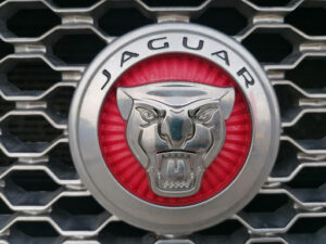 Jaguar Evreux – JFC by Mary Automobiles à Normanville