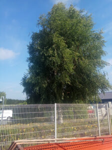 Midas OUISTREHAM à Ouistreham