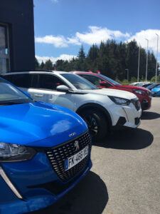 Le Gleut Autos à Pont-Scorff