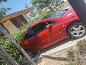 experteinte à Meaux