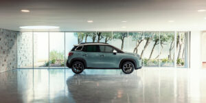 LUCHARD 45 PITHIVIERS  Citroën à Pithiviers