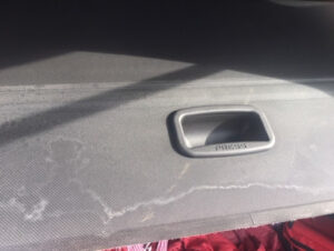 MD Cleaner à Coulommiers