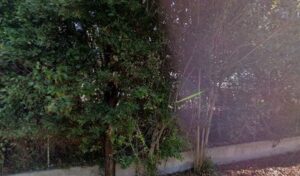 Auto Vasse Felius – Technicar Services à Saint-Mitre-les-Remparts