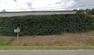 A La Bonne Occas à Tannerre-en-Puisaye